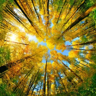 How can we connect net-zero to nature positive?